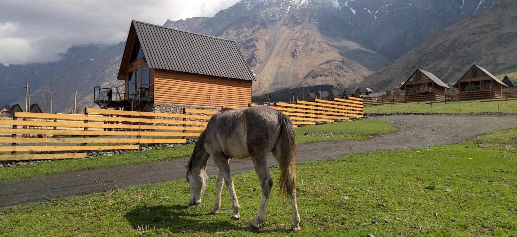 Traveler'S Cottages In Kazbegi Exterior foto